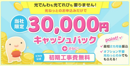1.新規申し込みで30,000 円をキャッシュバック！！